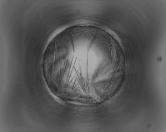 X0000091171429200708231455