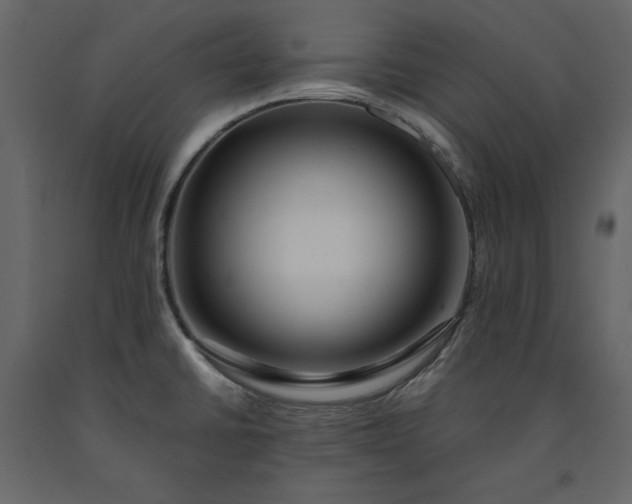 X0000091171430200708231455