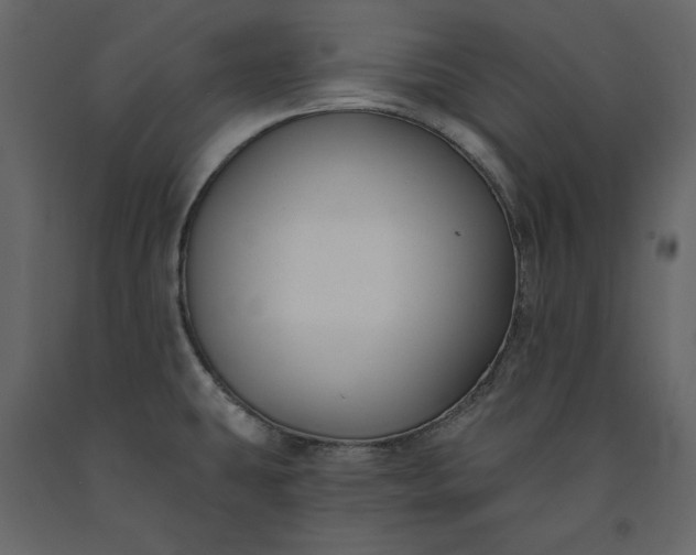 X0000091171431200708231455