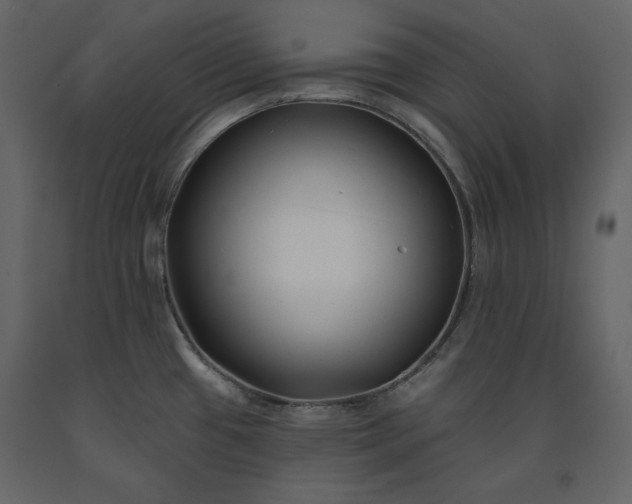 X0000091171433200708231455