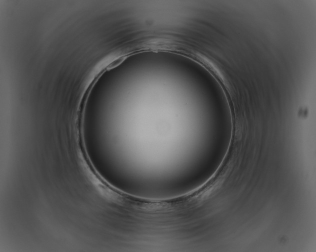 X0000091171434200708231455