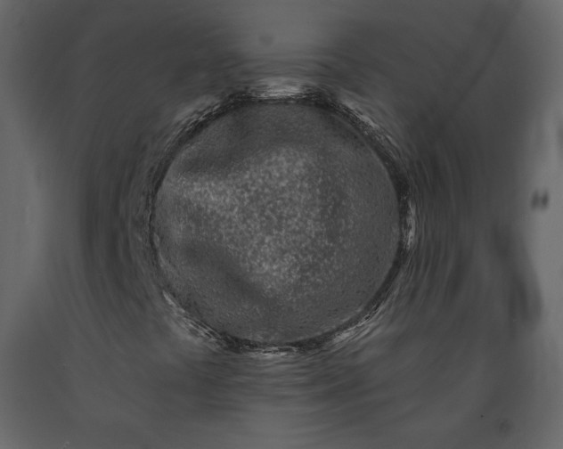 X0000091171441200708231454