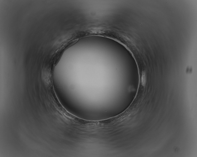 X0000091171444200708231454