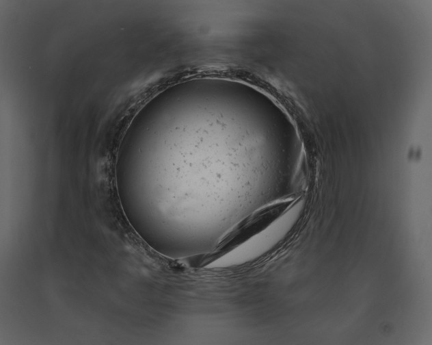 X0000091171445200708231454