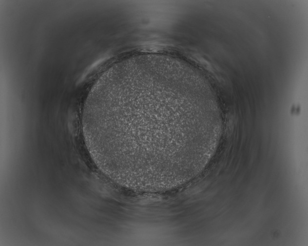 X0000091171446200708231454