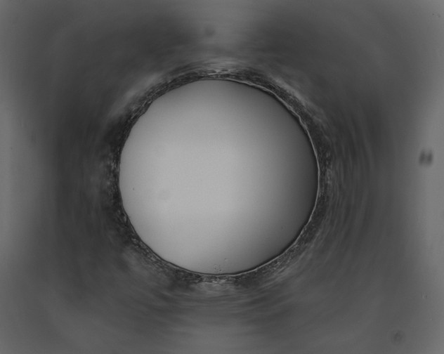 X0000091171447200708231454