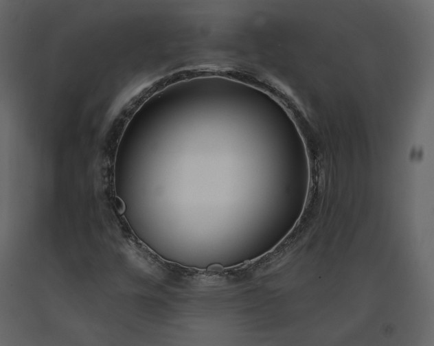 X0000091171448200708231454