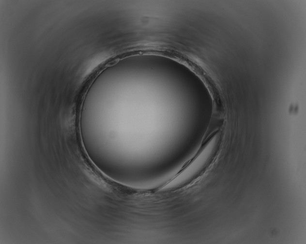 X0000091171450200708231454