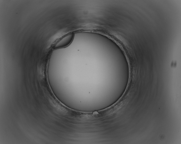 X0000091171451200708231454