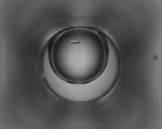 X0000091171453200708231454