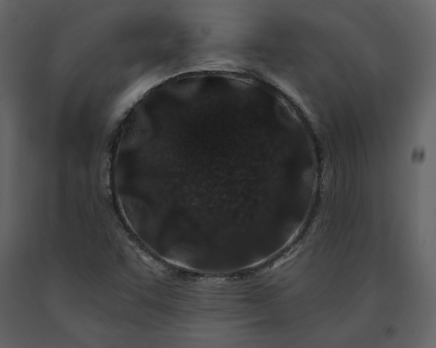 X0000091171455200708231454