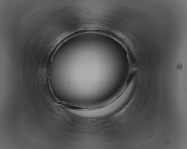 X0000091171457200708231454