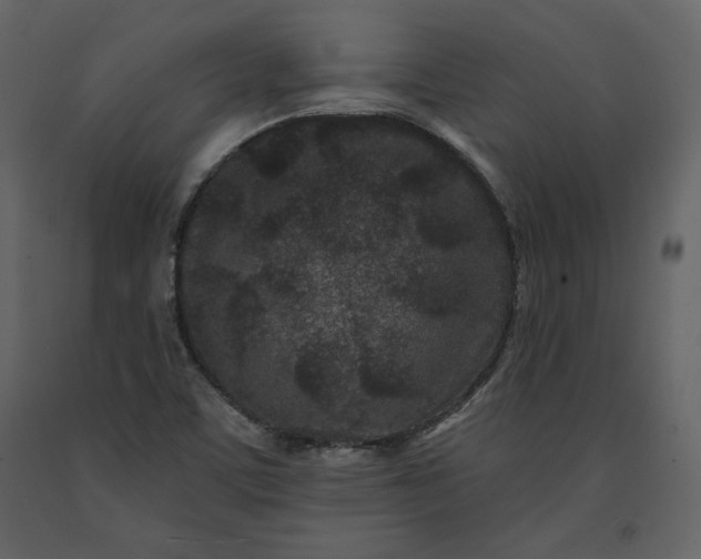 X0000091171459200708231454