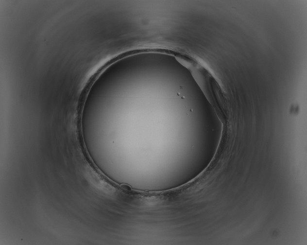 X0000091171460200708231454