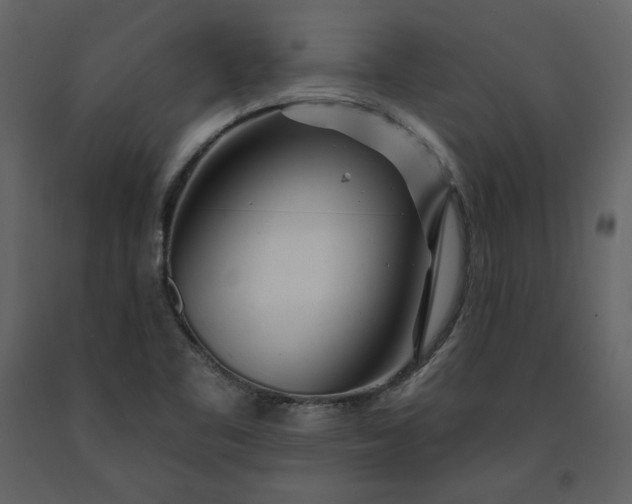 X0000091171461200708231454