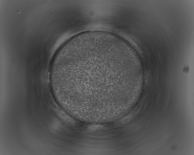 X0000091171462200708231454