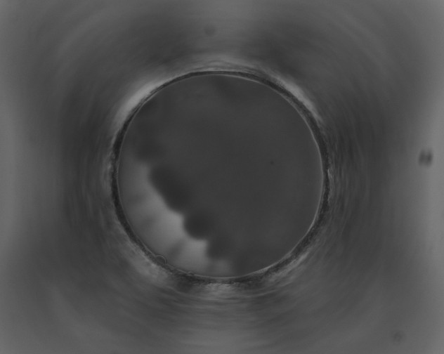 X0000091171463200708231454