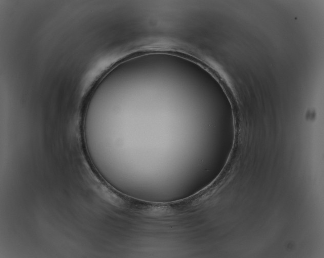 X0000091171464200708231454