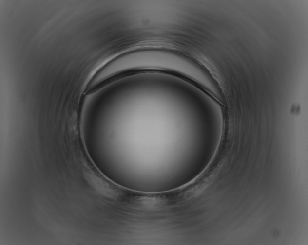 X0000091171465200708231454