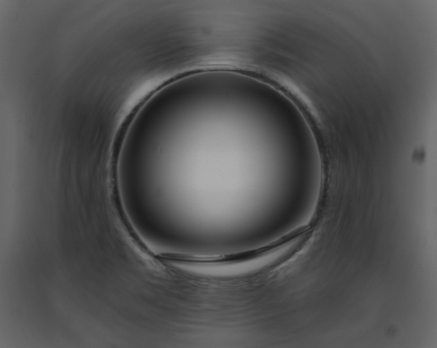 X0000091171469200708231454