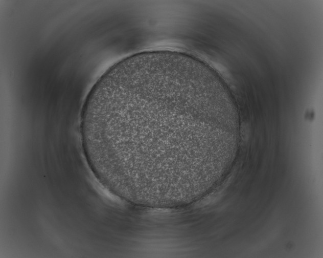 X0000091171470200708231454