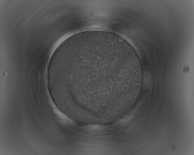 X0000091171474200708231454