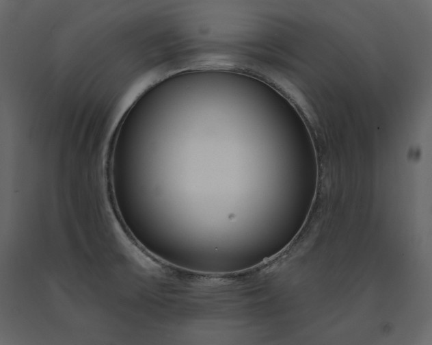 X0000091171475200708231454