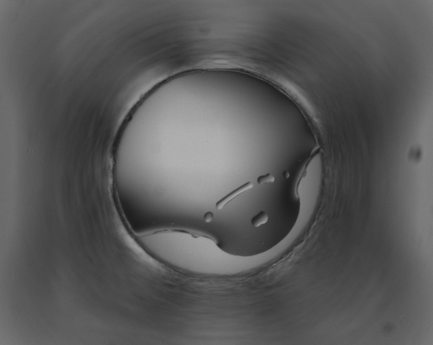 X0000091171476200708231454