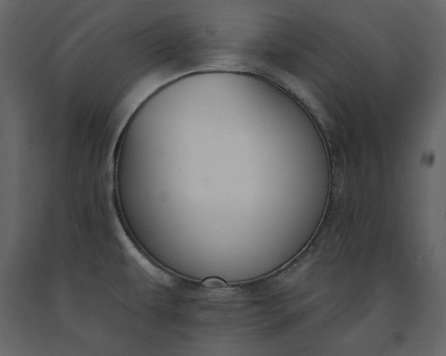 X0000091171479200708231454