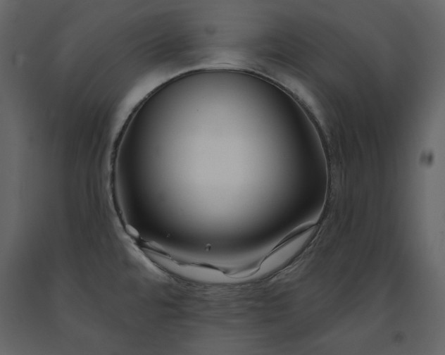 X0000091171480200708231454