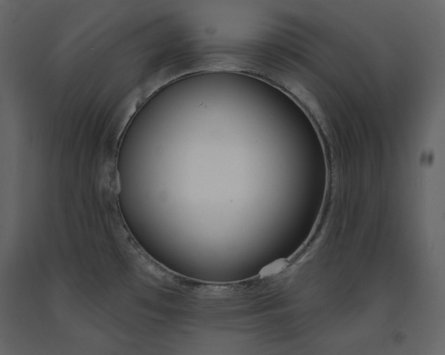 X0000091171481200708231454