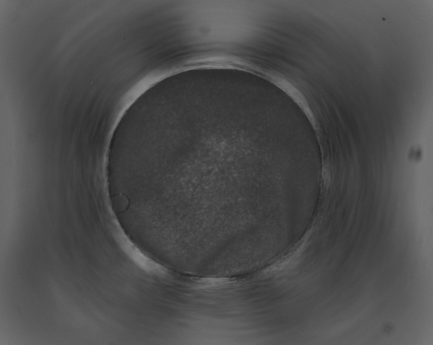 X0000091171482200708231454