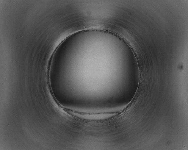 X0000091171483200708231454