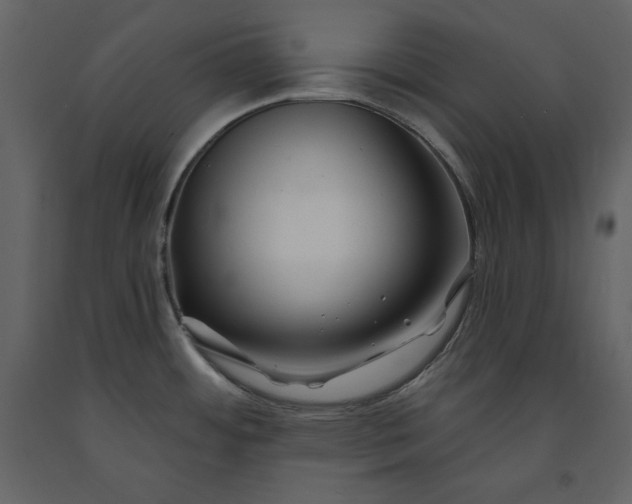 X0000091171484200708231454