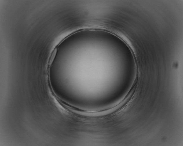 X0000091171485200708231454