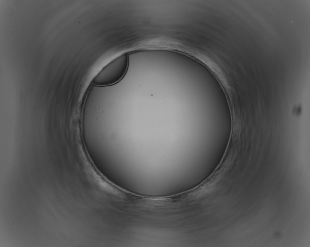 X0000091171486200708231454