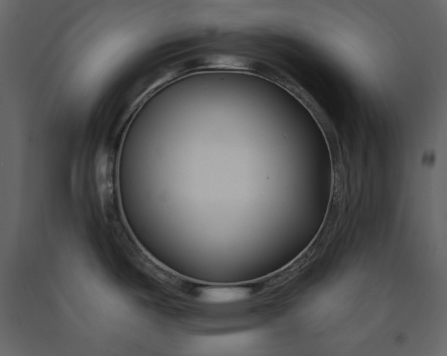 X0000091171487200708231454