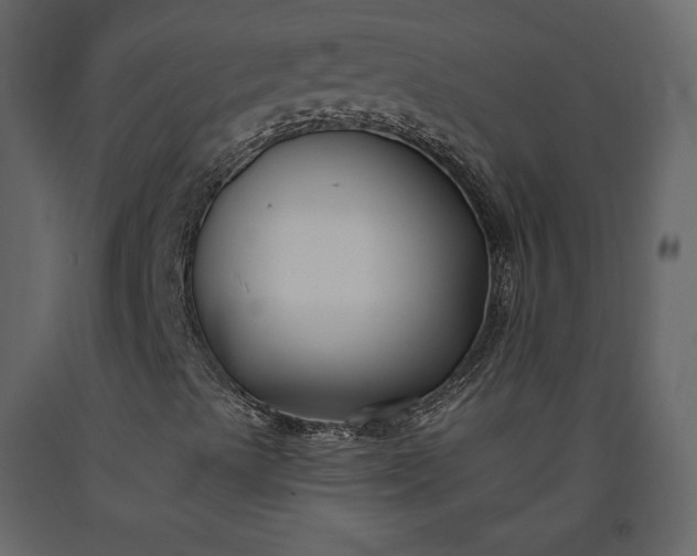 X0000091171489200708231453