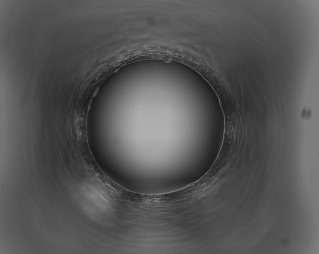 X0000091171490200708231453