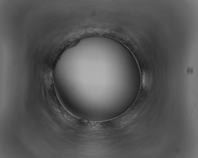 X0000091171492200708231453