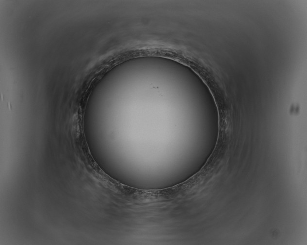 X0000091171493200708231453