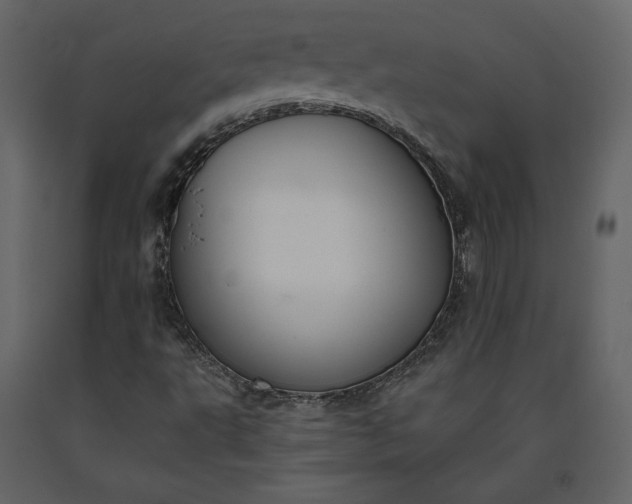 X0000091171495200708231453