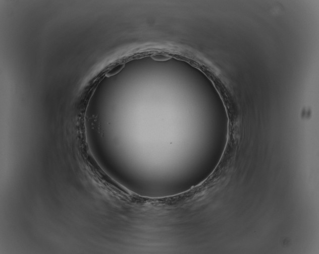 X0000091171496200708231453