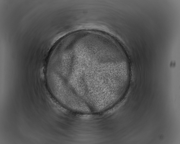 X0000091171497200708231453