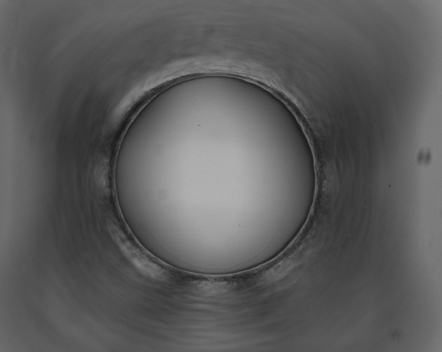 X0000091171499200708231453