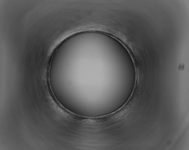 X0000091171500200708231453