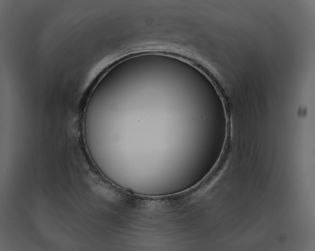 X0000091171501200708231453