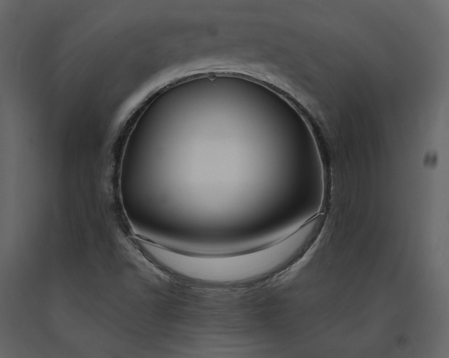 X0000091171502200708231453