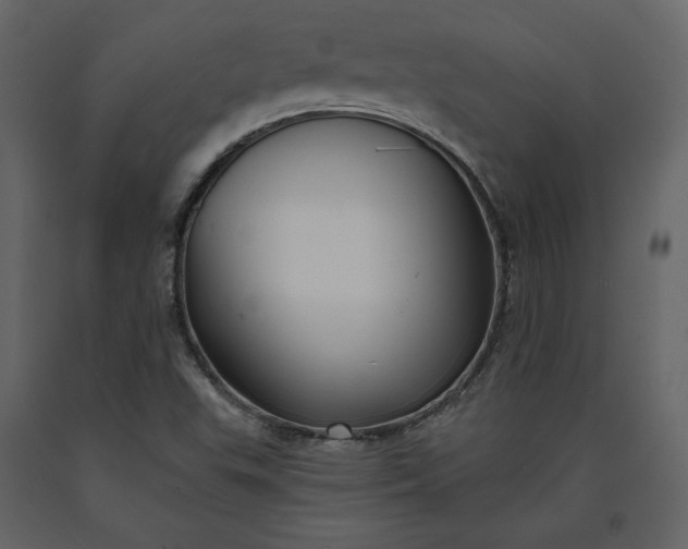 X0000091171503200708231453