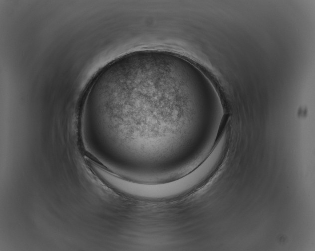 X0000091171506200708231453